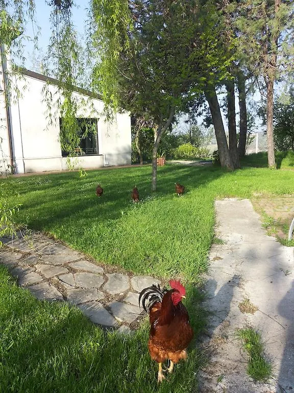 Country house Casa Dell'Editore - Books & Breakfast Guest House Rimini Italy